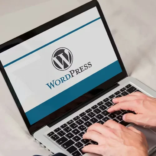 WordPress Development 1-new
